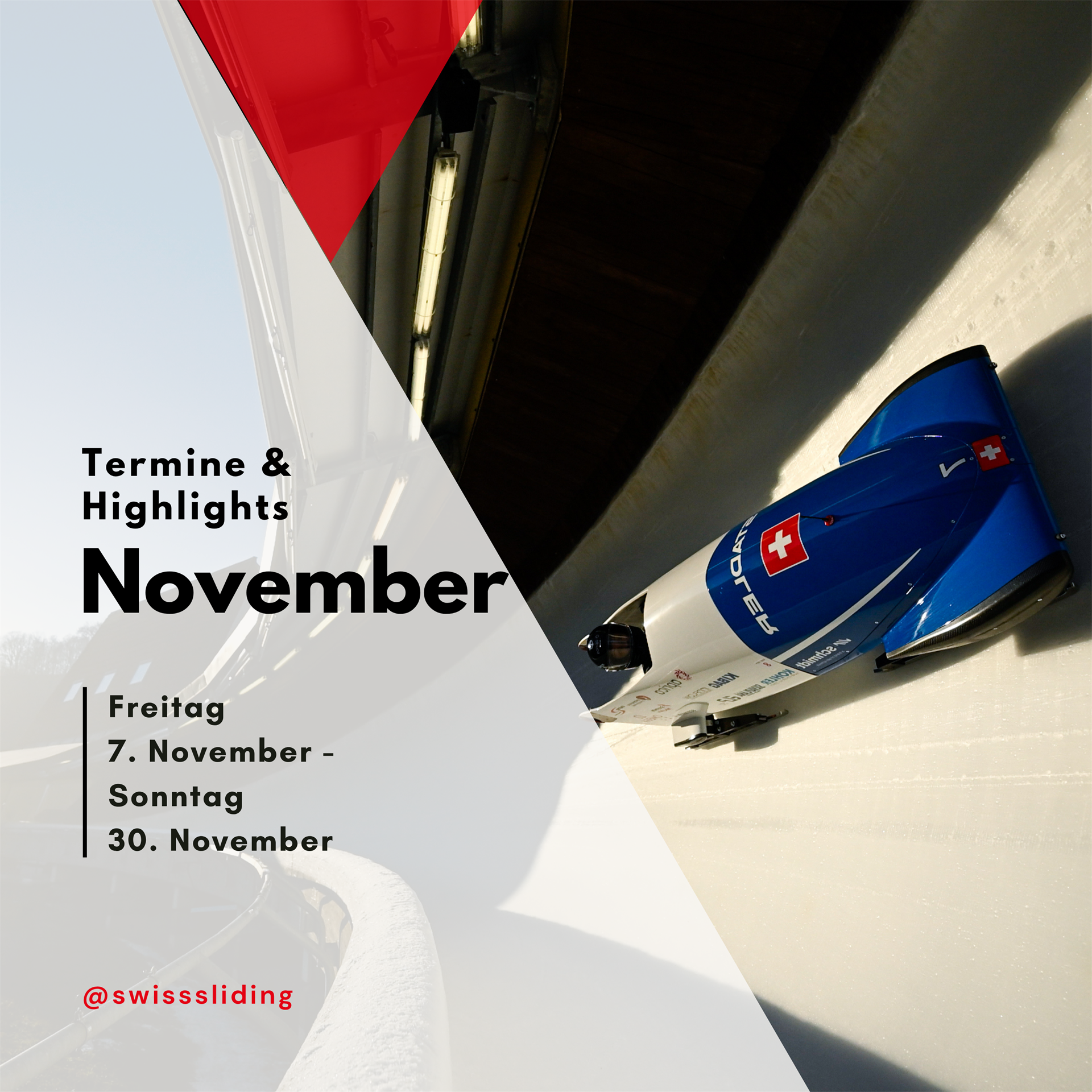 Highlights und Termine im November