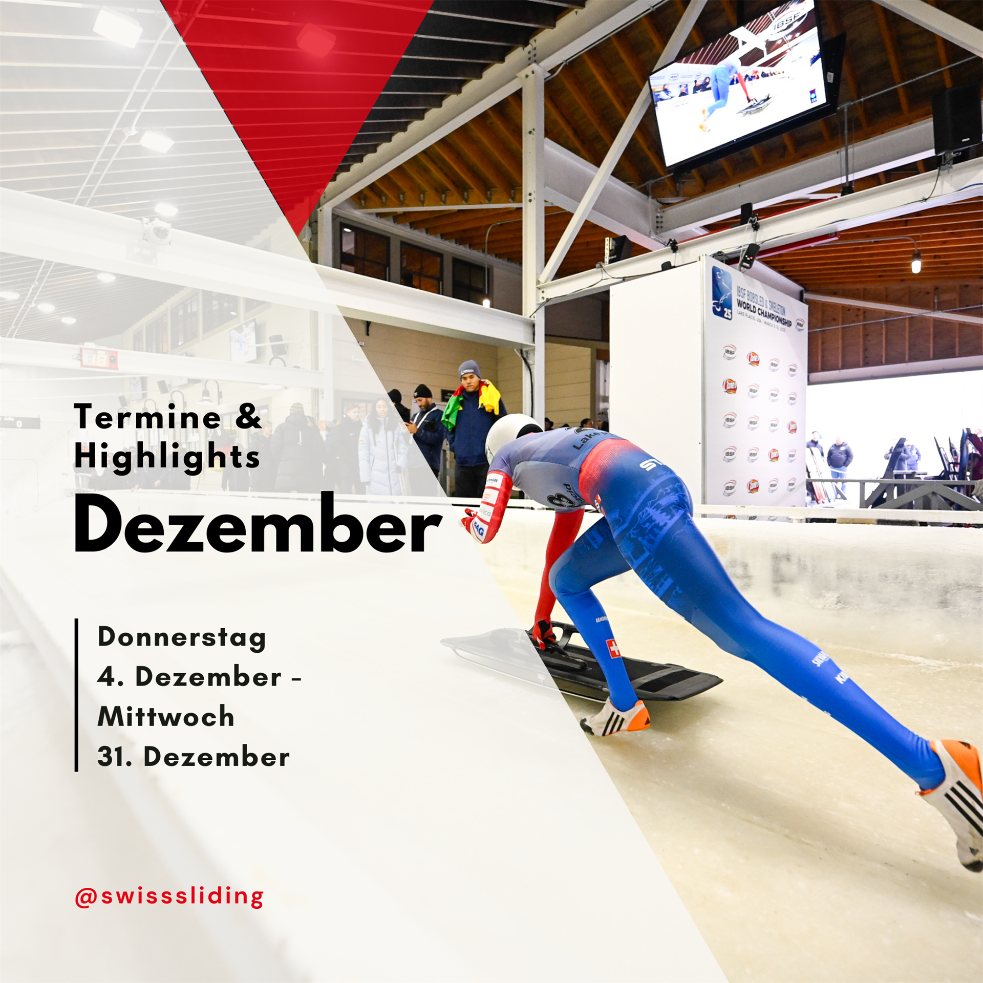 Highlights und Termine im Dezember