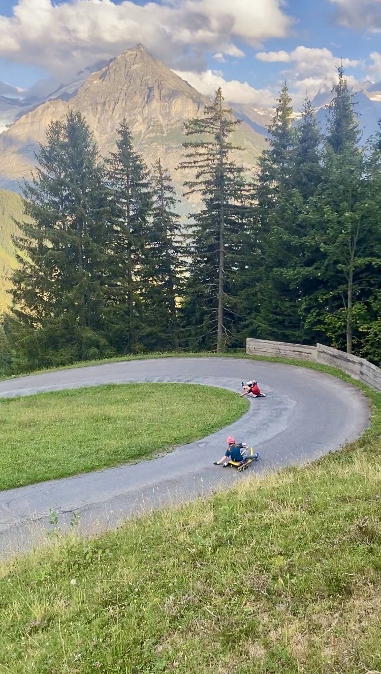Adrenalin auf Rädern: Naturbahnrodeln kennt keine Sommerpause